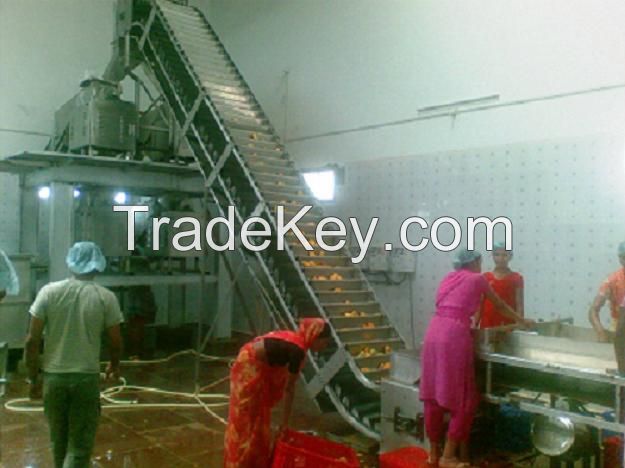Mango Pulp Processing Machinery 