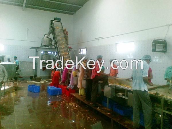 Mango Processing Machinery