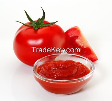 Tomato Puree Processing Machinery 