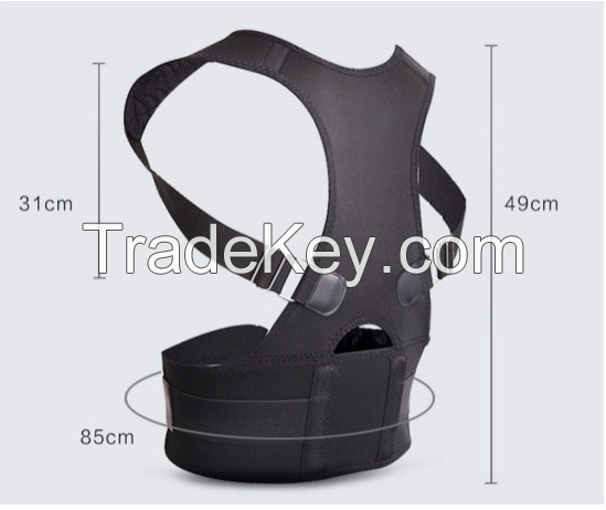 Lumbar support belt