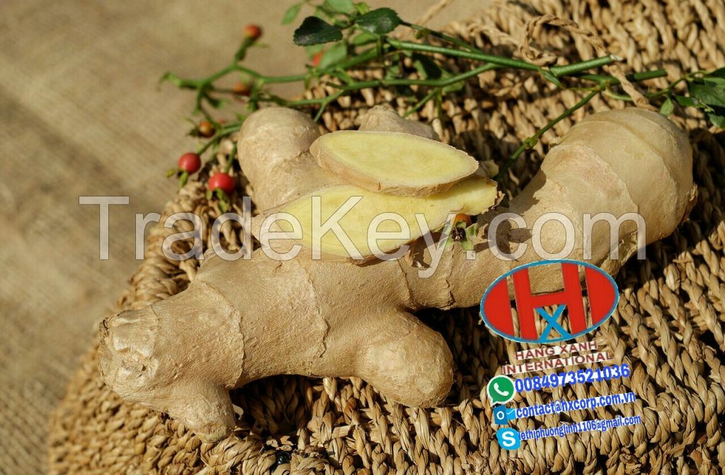 dried ginger