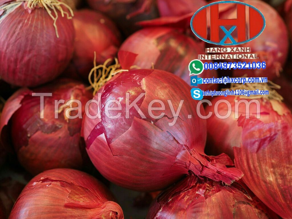 fresh onion