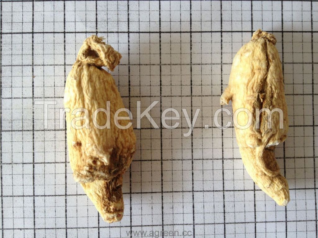 Ginseng Roots