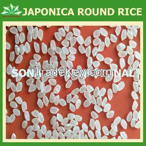 JAPONICA RICE 5% BROKEN - CHEAPEST RICE - THE BEST SELLING - HIGH QUALITY - HIGH PURITY