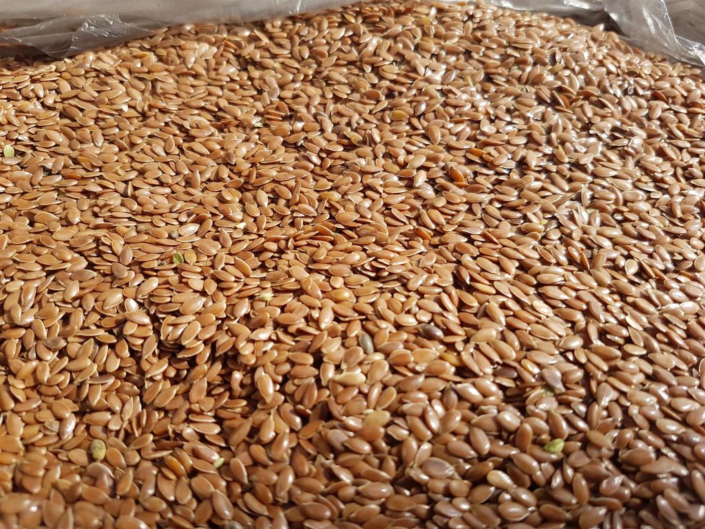 Linseed/Flaxseed Brown