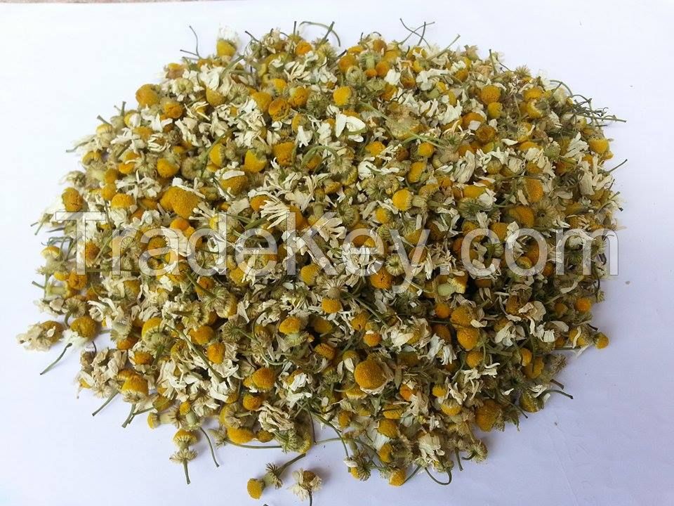 Chamomile 