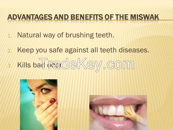 Peelu Miswak