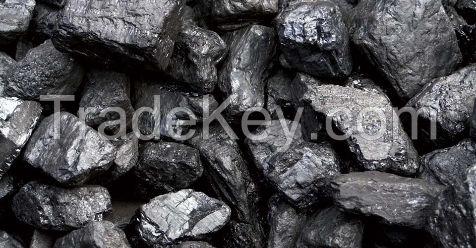 Coal