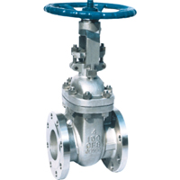 Gate Valve