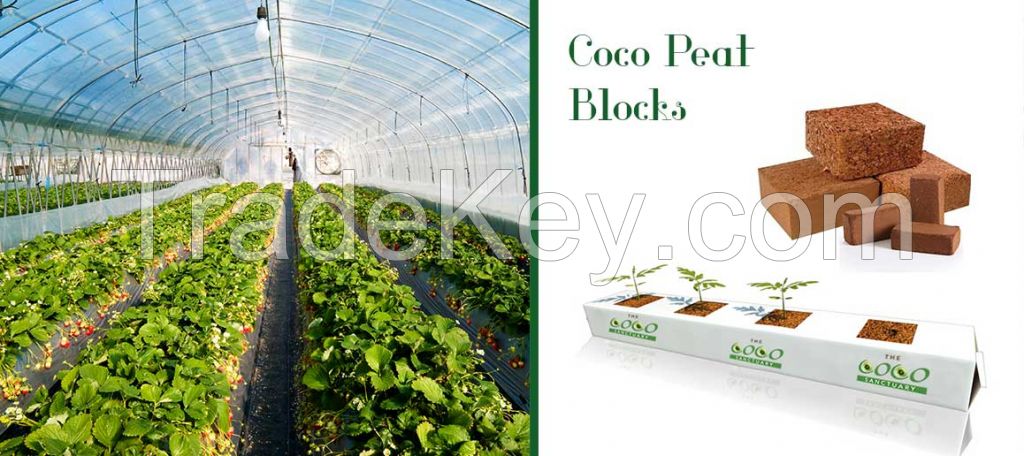 Coco Peat and Grow Bags