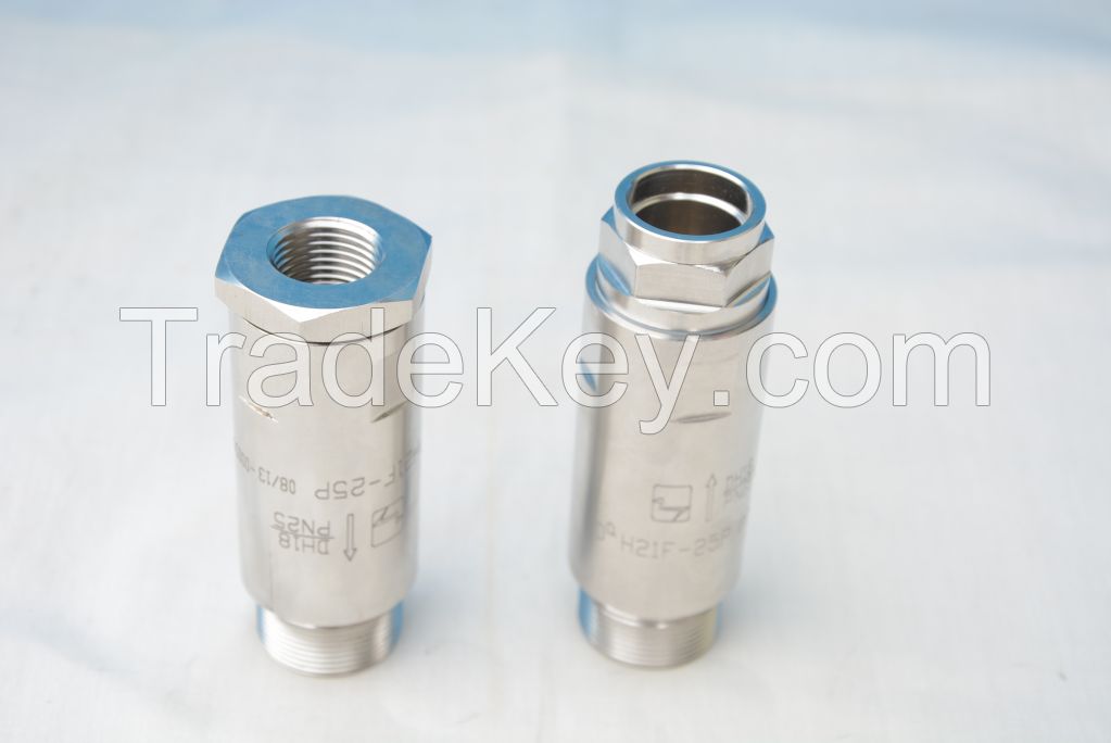 DN 20 cryogenic check valve low pressure non-return valve