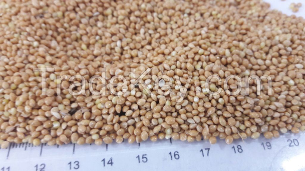 Millet, wheat, linseeds