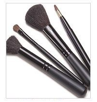 cosmetic brush set of 4pcs in a pouch