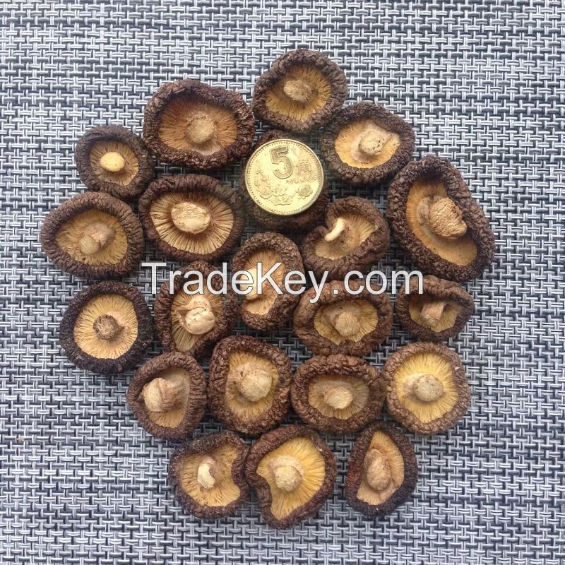 China FoodsMushrooms Organic Flavor Toy Hard Bag Dried Shiitake Freeze