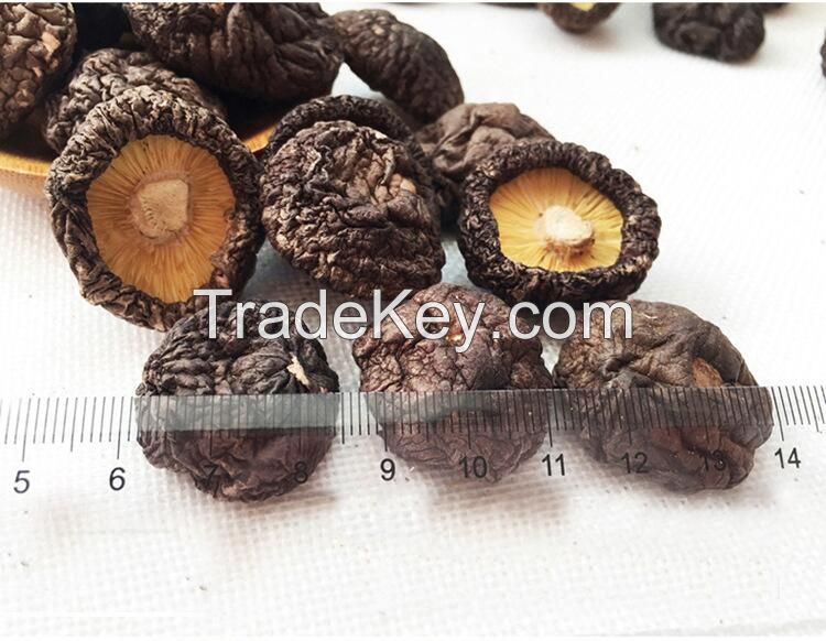 Mushrooms Organic Bag Dried Shiitake Freeze Foods Military Chinese