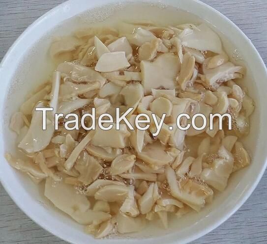 canned oyster  mushrooms