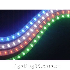 The string lights