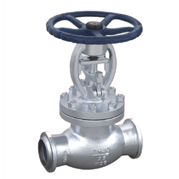 globe valve