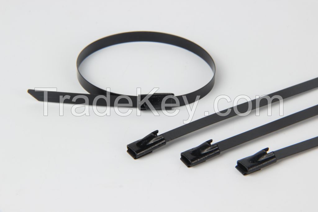 Stainless Steel Epoxy Coated Cable Tie-Ball Lock Type