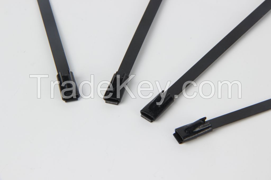 Stainless Steel Epoxy Coated Cable Tie-Ball Lock Type