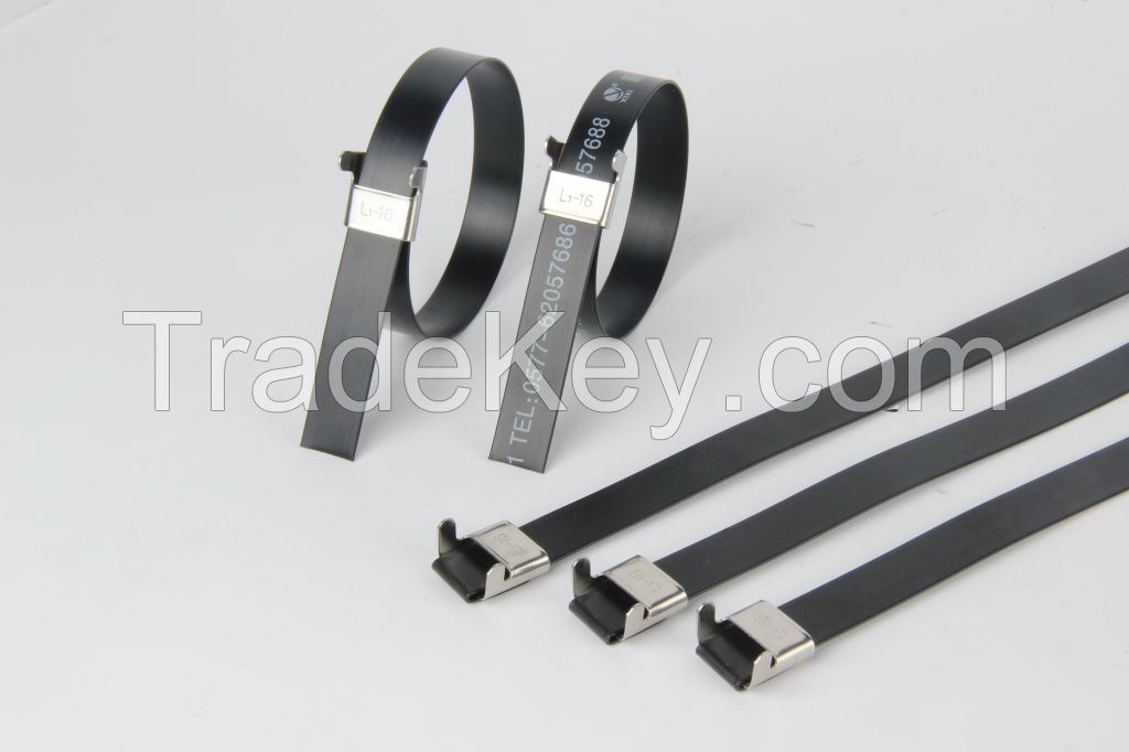 Stainless Steel Cable Tie-Wing Lock Type