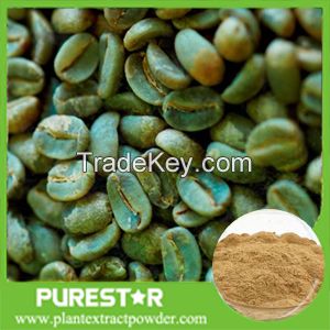 Green coffee bean extract Chlorogenic Acid