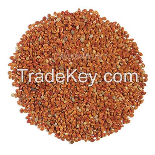 RED SORGHUM