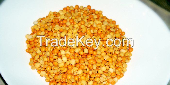 YELLOW PEAS