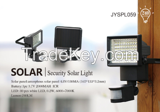 Security Solar Light