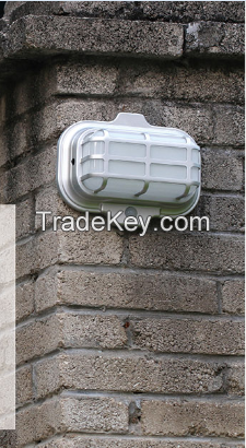 Security Solar Light