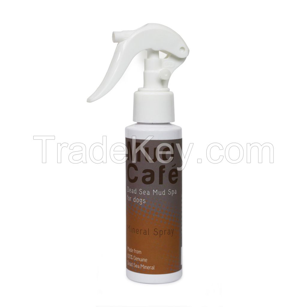 Mud Cafe Mineral Spray