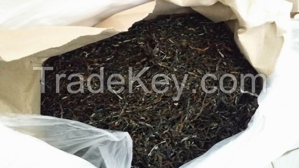 Machine dried shredded Laminaria seaweed , Cut Kelp