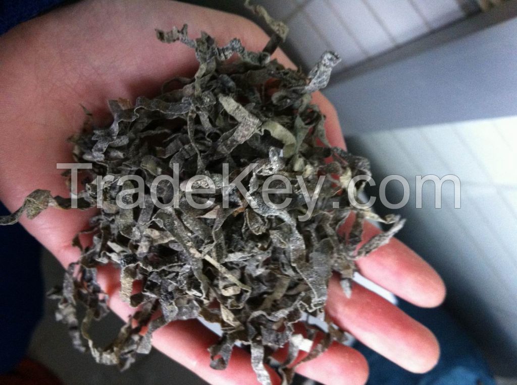Sun  dry  cut kelp,  Laminaria seaweed price 
