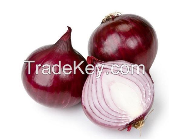 Fresh Red Onion