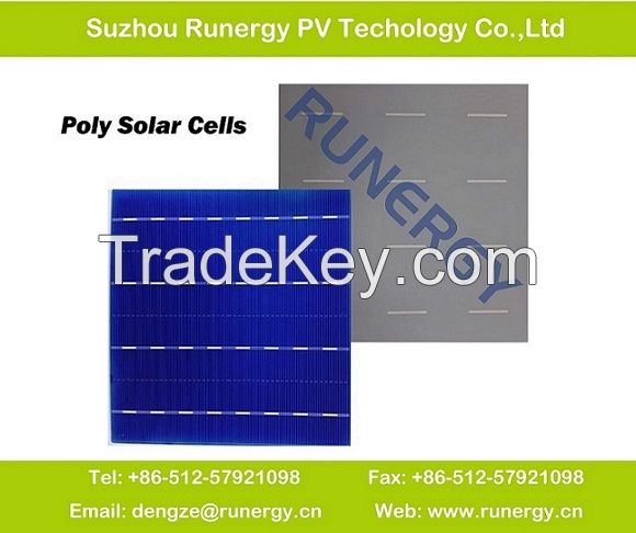 Poly Solar Cell 