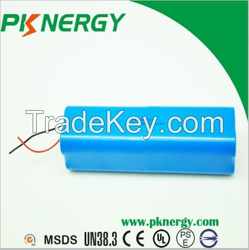 Lithium Ion Battery Packs Supplier, PKNERGY