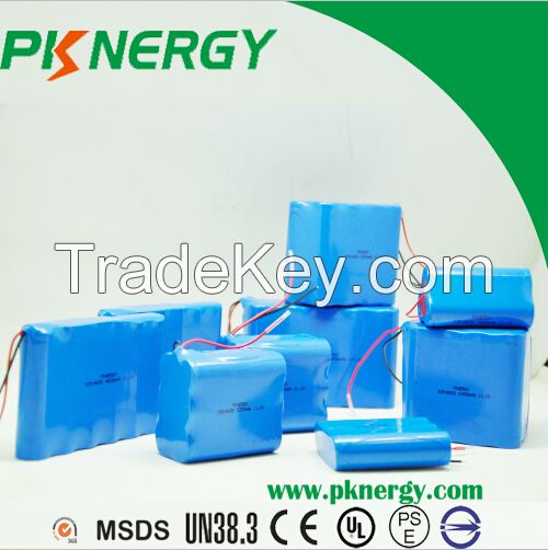 24V 12ah Lithium Ion Battery Rechargeable Icr18650 Li-ion Batteries Pack for E-Bike