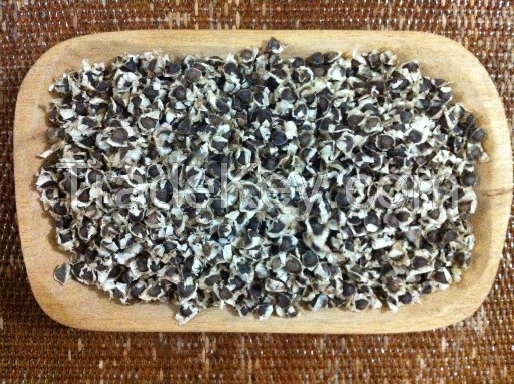 Moringa Oleifera Seed (Drumstick Seed)