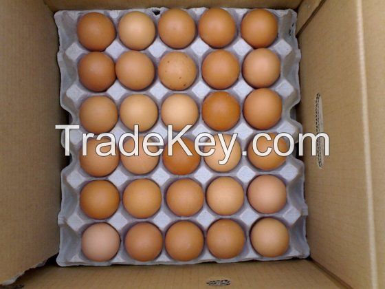 Fresh Brown and White Eggs