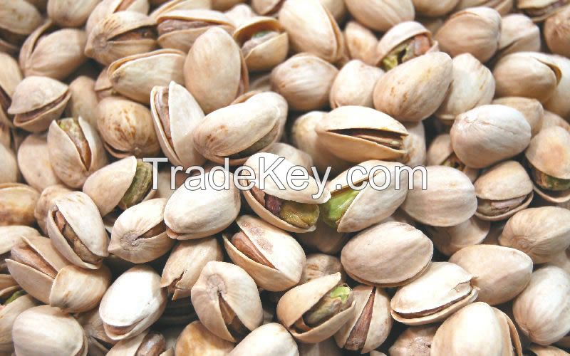 Pistachio Nuts, Cashew Nuts, Macadamia Nut, Hazelnuts,Almonds, Apricot Kernels