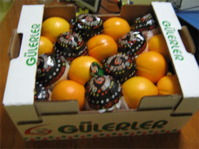 Oranges (navelina, washington)