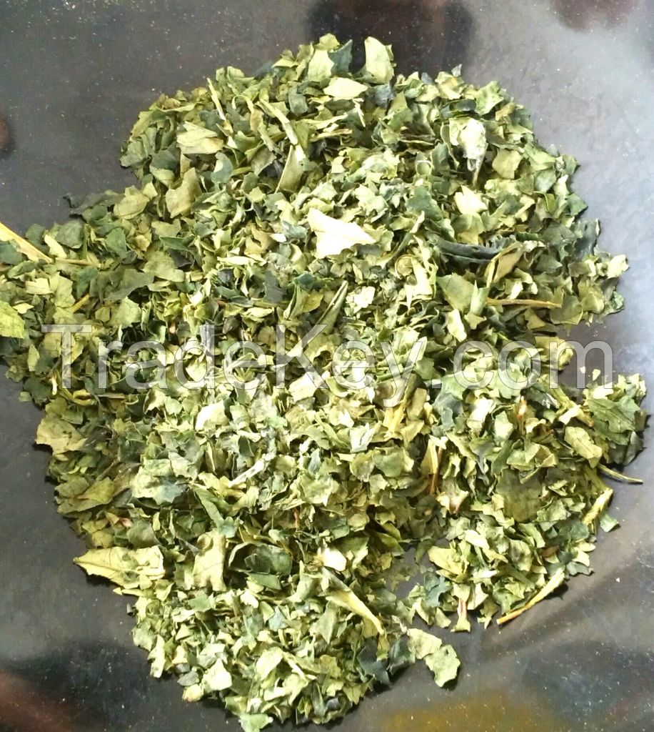 Japanese Organic Green tea leafs