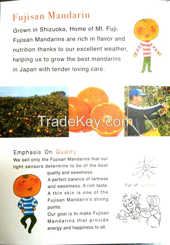 Japanese Mandarin Orange