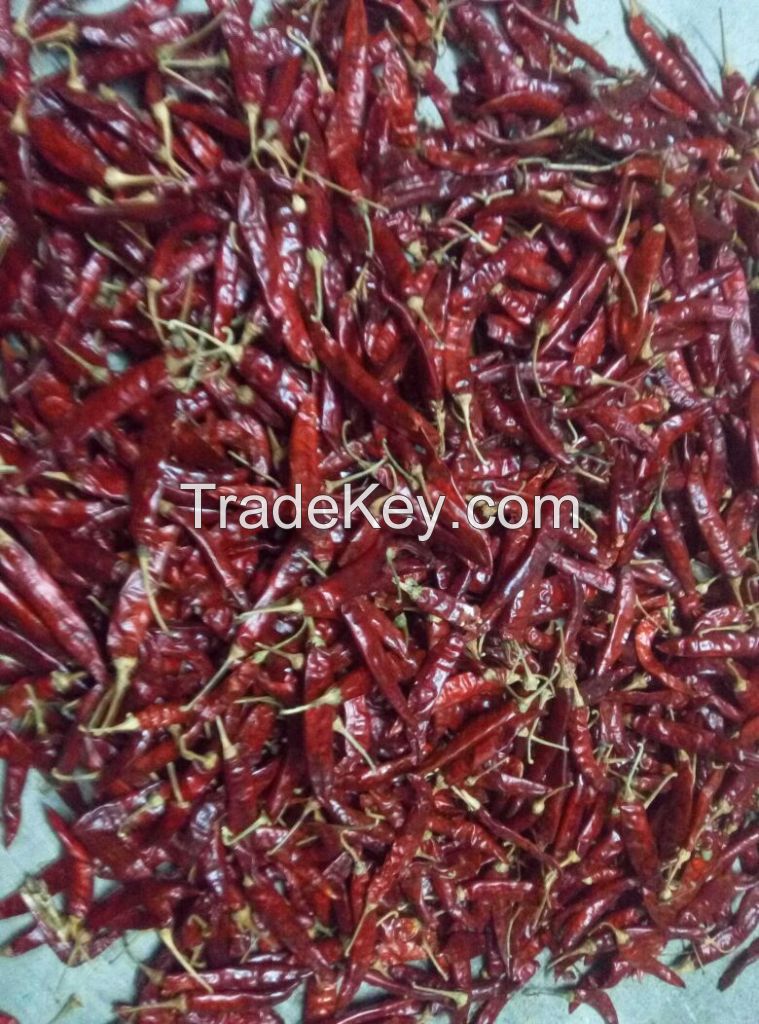 Red Dried Spicy Chili