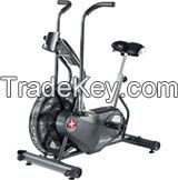 Schwinn AD6 Airdyne Upright Exercise Bike 