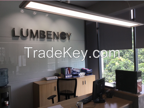High Transmittance LED Pandent Light for Office Lighting Professional Design