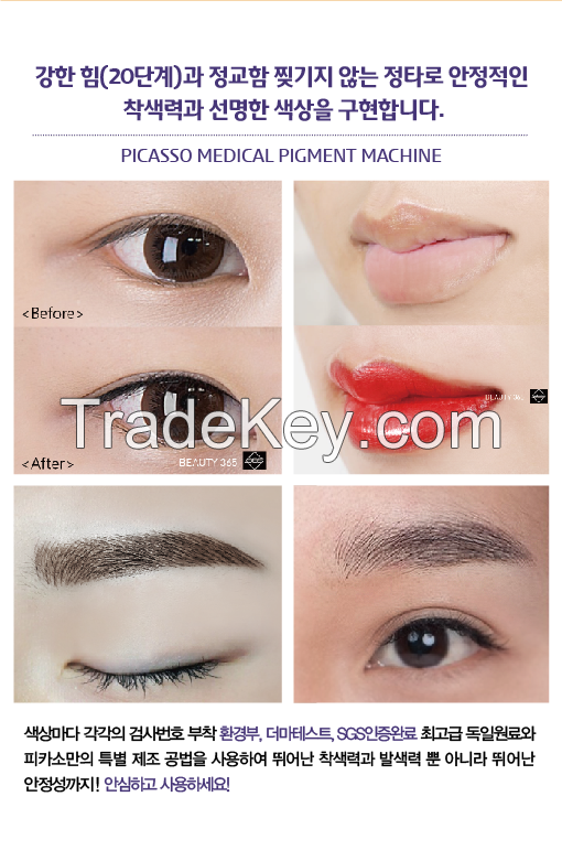 Permanent make-up machine and pigments