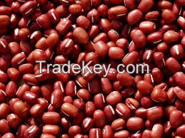 Red Soya Beans