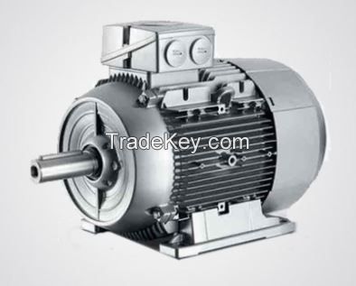 AC 3 Phase Squirrel Cage Induction Motor