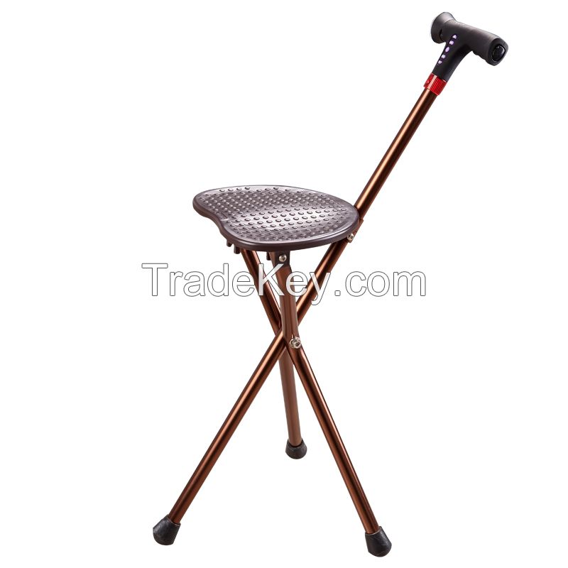 Intelligent  Walking Cane